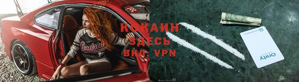 ешки Алексин