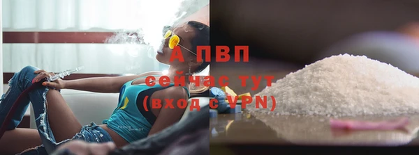 сатива Алексеевка