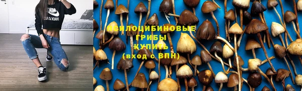 сатива Алексеевка